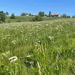 Apartment Stella Helle Fuer Natur-urlaub Im Harz *