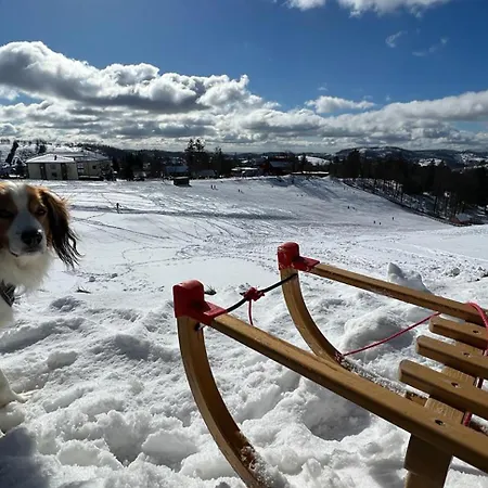 Διαμέρισμα Stella