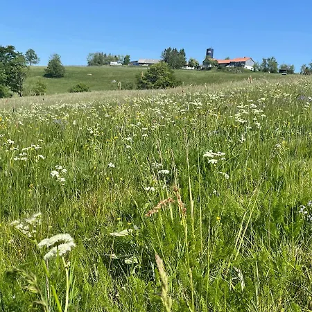 דירה Stella Helle Fuer Natur-urlaub Im Harz *