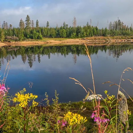 Stella Helle Fuer Natur-urlaub Im Harz *