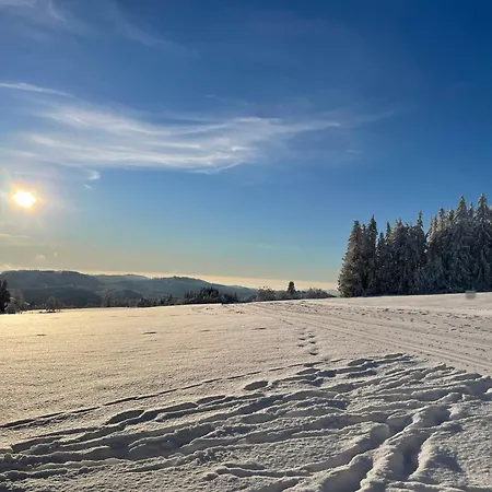 Stella Helle Fuer Natur-urlaub Im Harz * זנקט אנדריאסברג