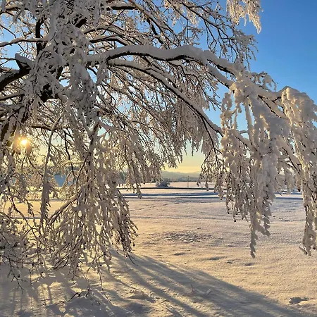 Διαμέρισμα Stella *