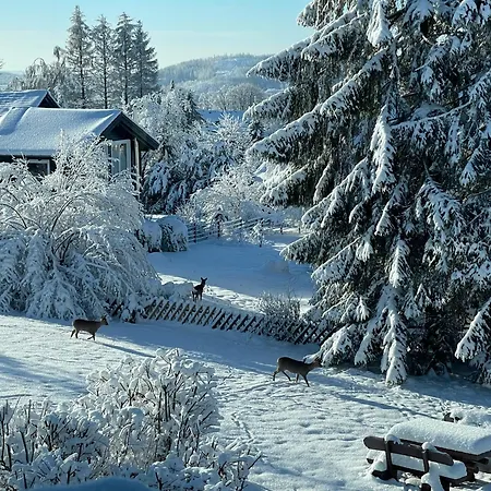 Stella Helle Fuer Natur-urlaub Im Harz זנקט אנדריאסברג