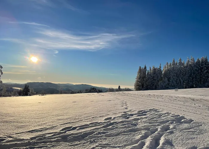 Stella * 圣安德里斯伯格