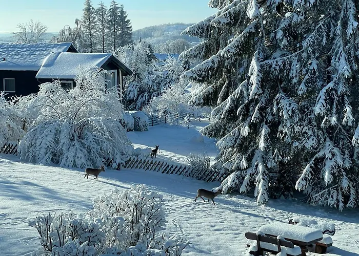 Stella 圣安德里斯伯格